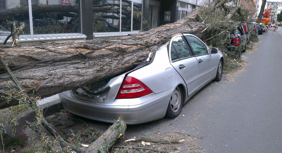 seguro de coche de pérdida total