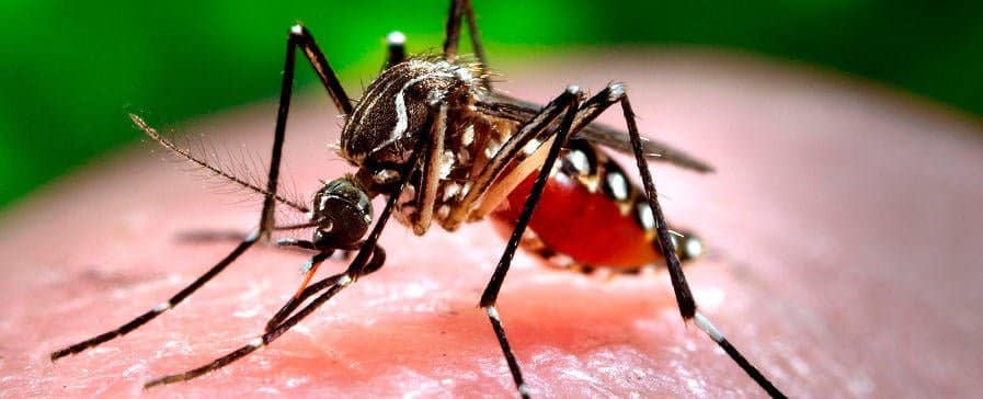 El virus Zika y la atención médica